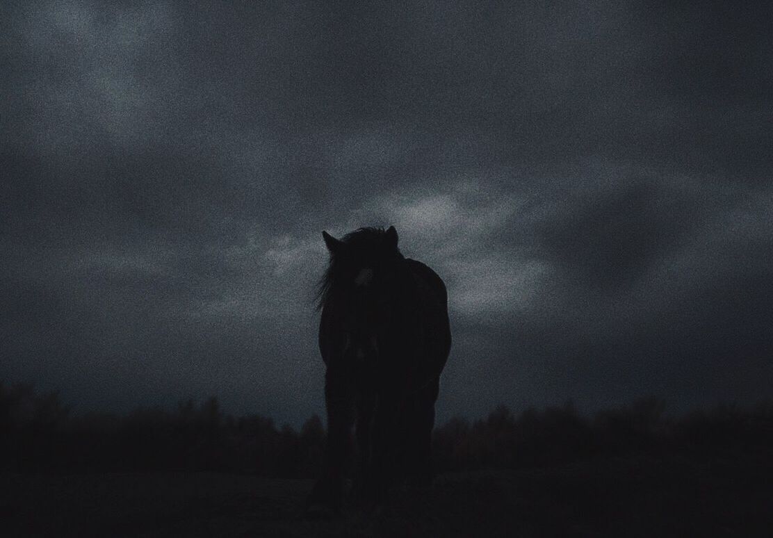 SILHOUETTE OF HORSE AGAINST SKY