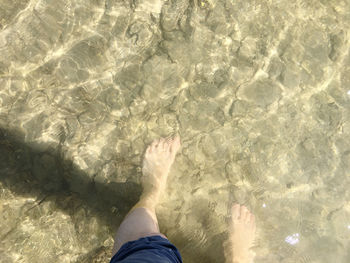 Low section of person in sea