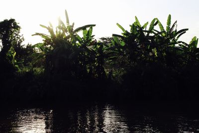 Scenic view of river against clear sky