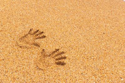 High angle view of footprints on sand at beach