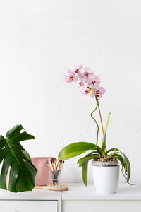 Green tropical monstera and orchid plants on toilet table in light and airy interior of room