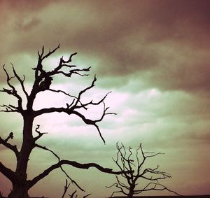 Low angle view of bare tree against cloudy sky
