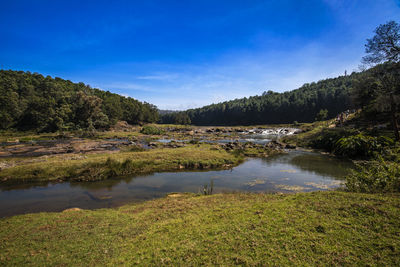 Scenic view of lake in forest against sky