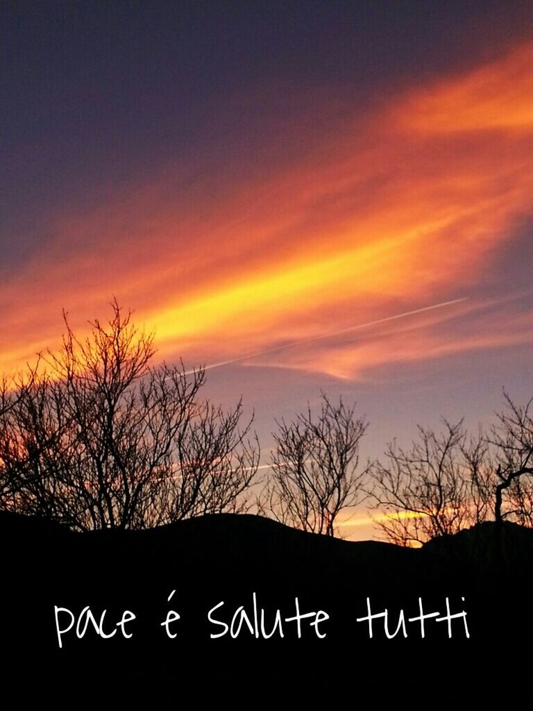 sunset, bare tree, silhouette, sky, tree, orange color, text, communication, cloud - sky, western script, low angle view, beauty in nature, branch, nature, scenics, tranquility, outdoors, cloud, no people, dusk