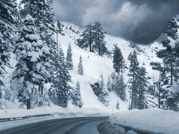 Snow covered trees by mountain against sky