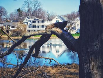 Reflection of trees and buildings on river