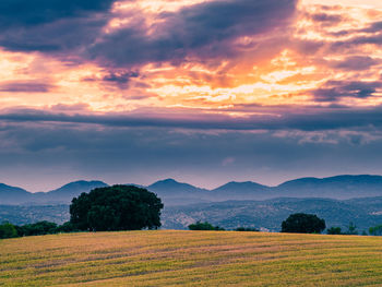Scenic view of field against cloudy sky during sunset