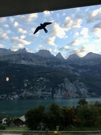 Bird flying over mountains against sky