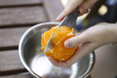 Close-up of hand holding fruit