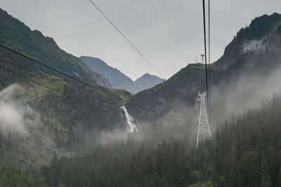 Low angle view of steel cables over trees in forest against sky