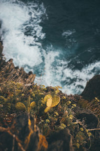 Close-up of rocks by sea