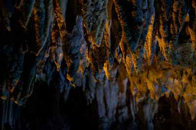 Interior of cave with stalactites