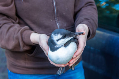 Close-up of hand holding bird