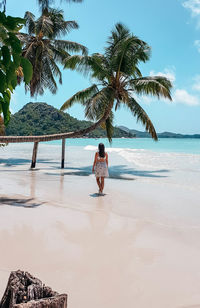 Woman from behind, summer dress, tropical beach,