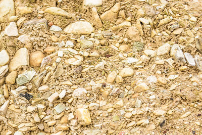 High angle view of stones on rock