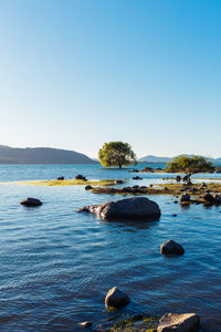 Scenic view of sea against clear blue sky