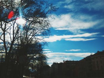 Low angle view of bare trees against blue sky