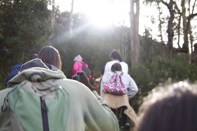 Rear view of people in forest