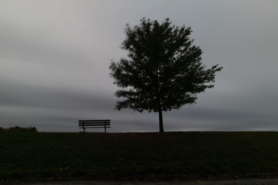 Lone tree and bench in moody setting