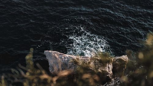 High angle view of rock by sea