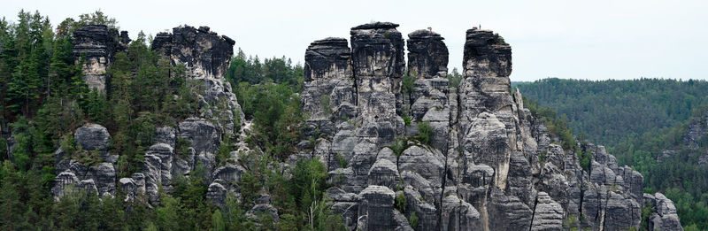 Panoramic view of trees growing on cliff
