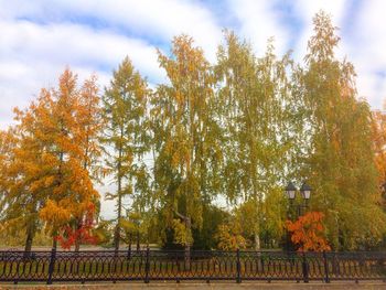 Trees in park against sky during autumn