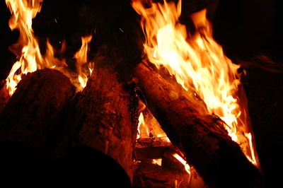 Close-up of bonfire at night