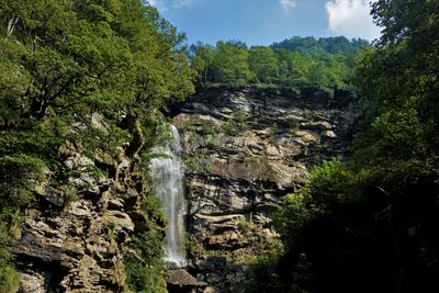 Scenic view of waterfall in forest