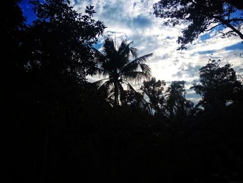 Low angle view of silhouette trees against sky