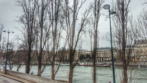 Trees by bridge against sky