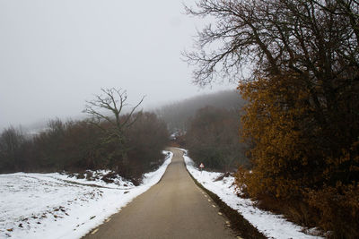 An empty road with snow on the edges and surrounding trees