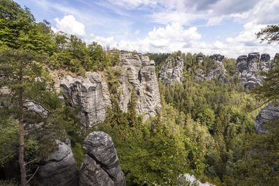 Scenic view of rocks in forest against sky