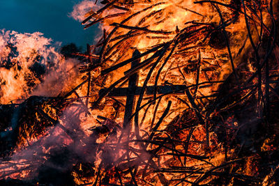 Burning trees at night