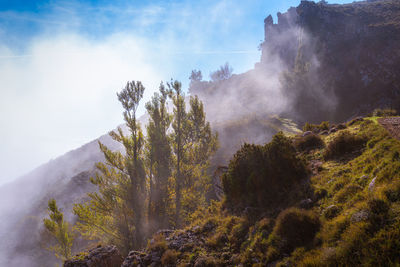Mountainous landscape on a sunny morning with fog, creating beautiful contrasts of light and shadow.