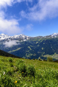 Scenic view of field and mountains against sky