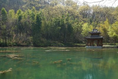 Scenic view of lake with trees in background