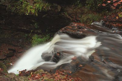 View of waterfall in forest