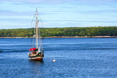 Sailboat sailing on sea against sky