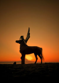 Silhouette of horse on land against sunset sky