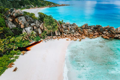 Scenic view of beach