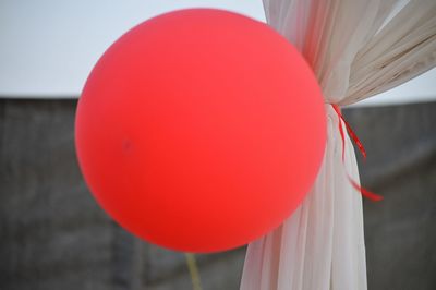 Close-up of pink balloons against wall