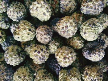 Full frame shot of fruits for sale in market