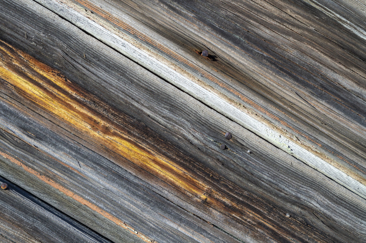 FULL FRAME SHOT OF WOOD WITH ROCKS