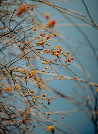 High angle view of plants by lake against sky