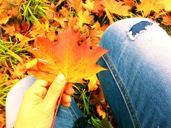 Low section of person on maple leaf during autumn