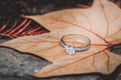 Close-up of engagement ring on dry maple leaf