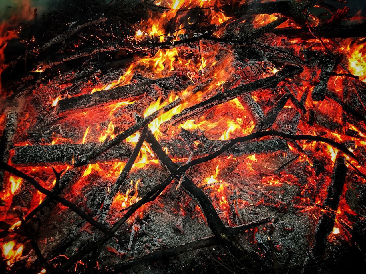 FULL FRAME SHOT OF BONFIRE WITH TREE