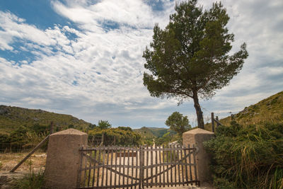 Trees on landscape against sky