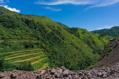 Scenic view of agricultural landscape against sky