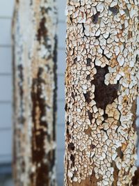 Close-up of stone wall